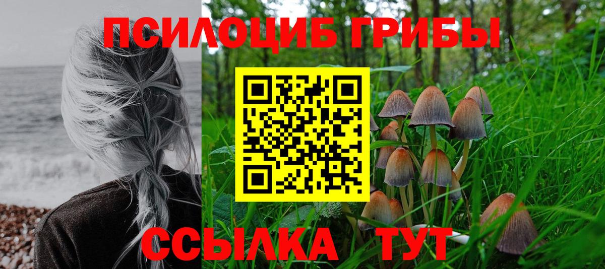 Галлюциногенные грибы Psilocybine cubensis  Вход с VPN  Киржач 